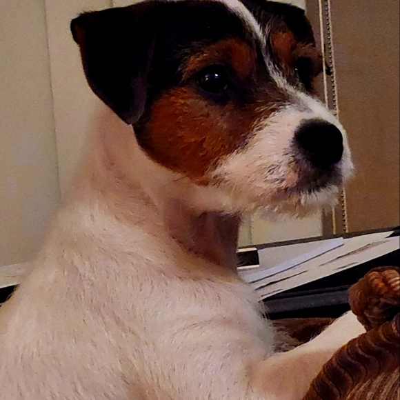 No Group This Weekend! See You Feb 6-8, 2026 to Share Again! 👒Sat Down South - Picture 12 of 15